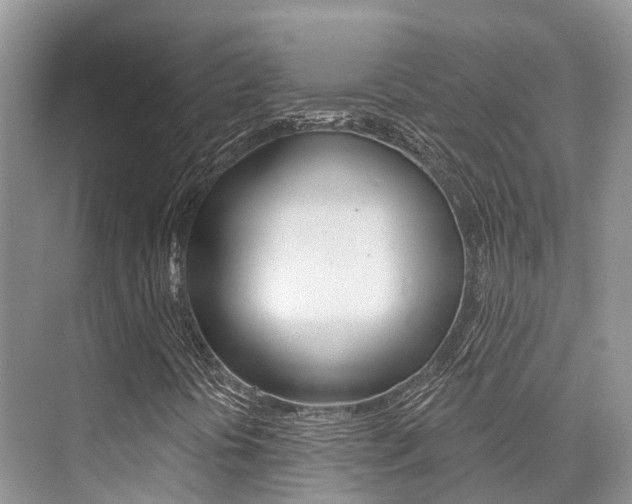 X0000076081394200609221007
