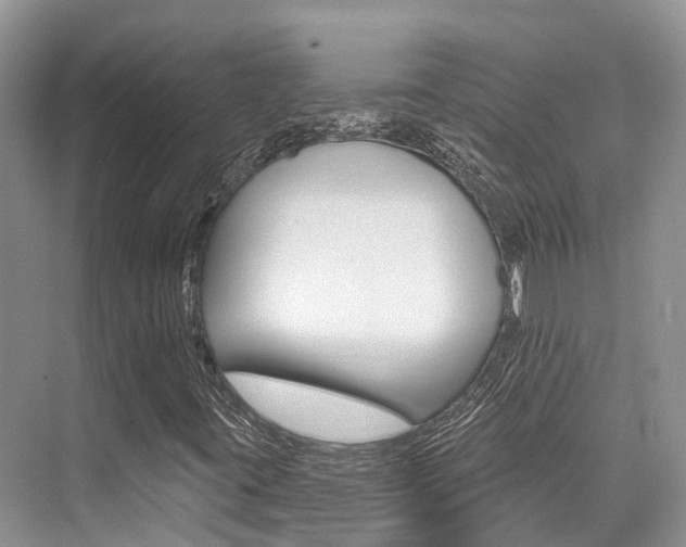 X0000076081395200609221007
