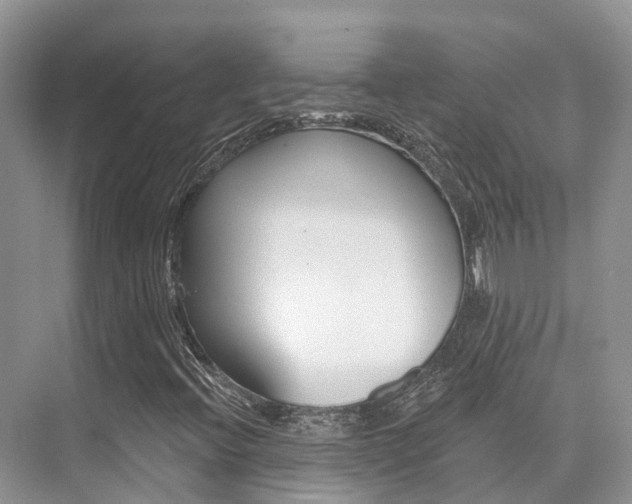 X0000076081396200609221007