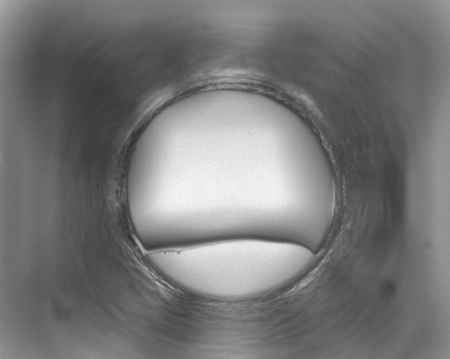 X0000076081405200609221007