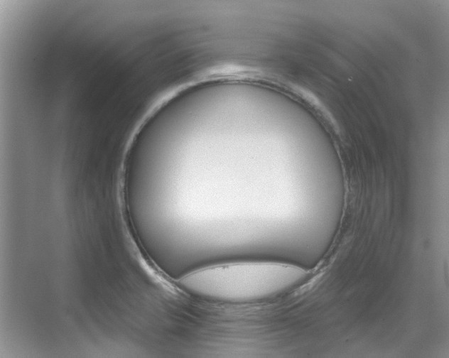 X0000076081421200609221007