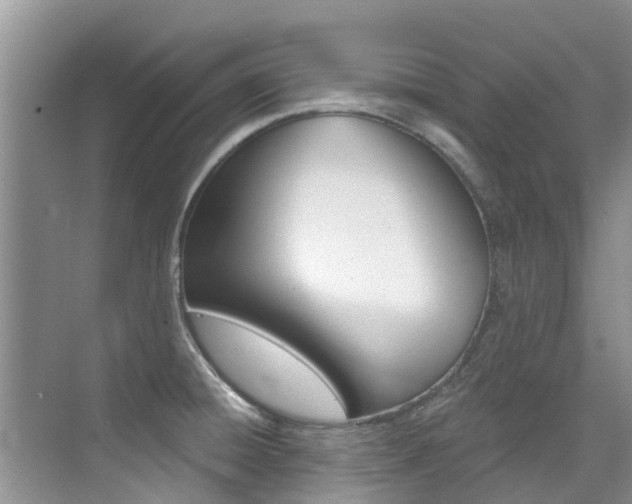 X0000076081428200609221007