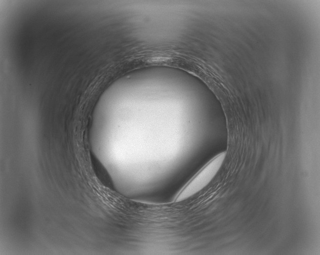 X0000076081441200609221007