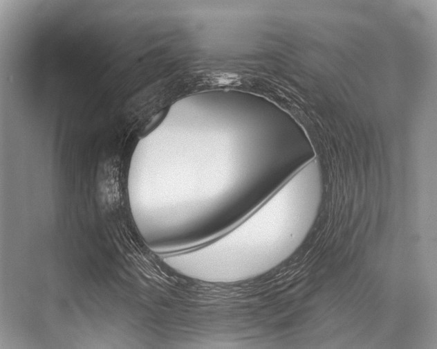 X0000076081442200609221007