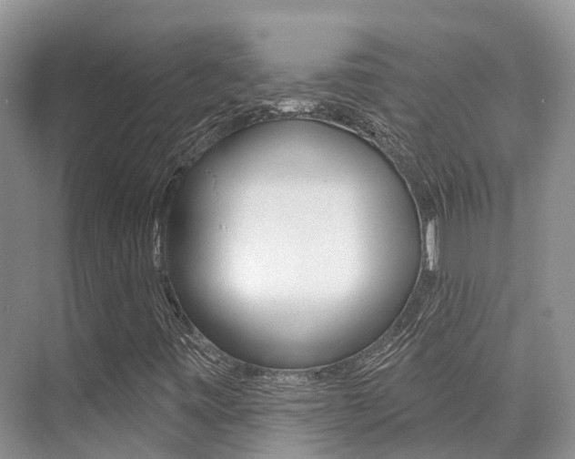 X0000076081443200609221007