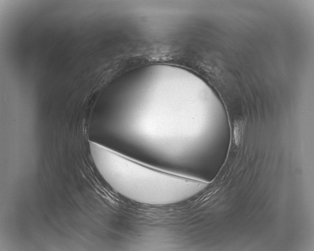 X0000076081444200609221007
