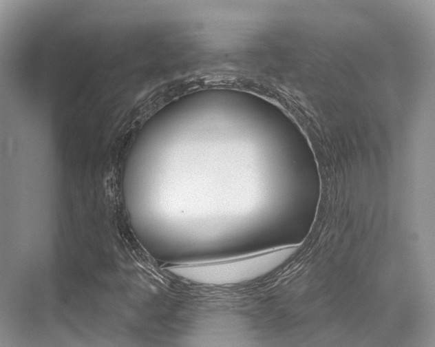 X0000076081445200609221007