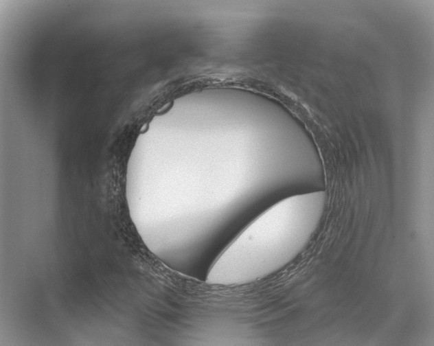 X0000076081447200609221007