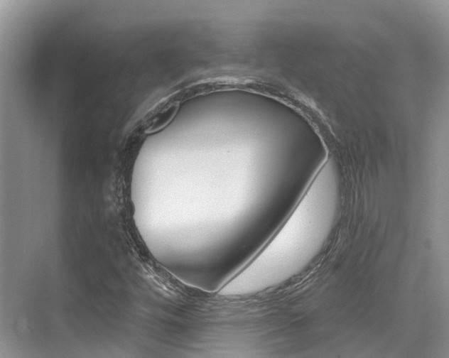 X0000076081448200609221007