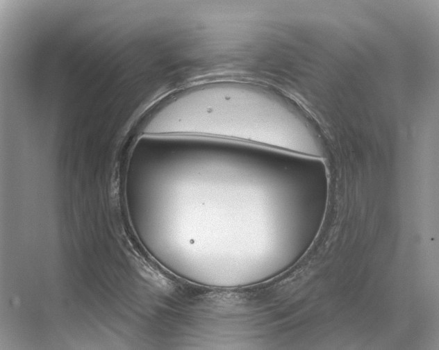 X0000076081450200609221007