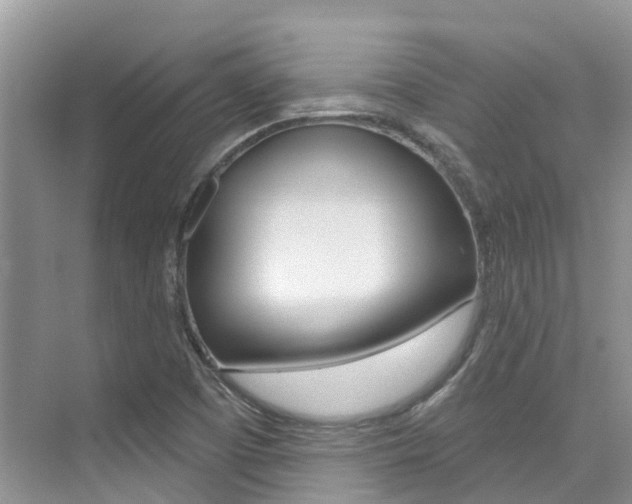 X0000076081457200609221007