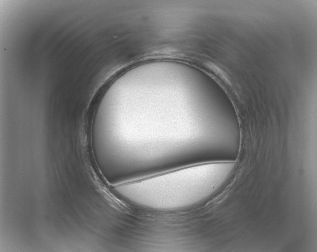 X0000076081458200609221007