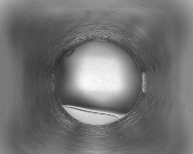 X0000076081491200609221005