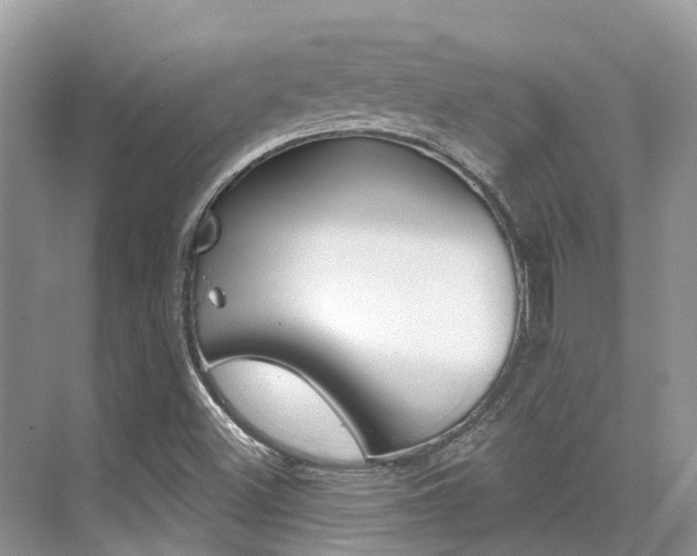 X0000076081500200609221005