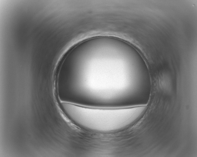 X0000076081511200609221006