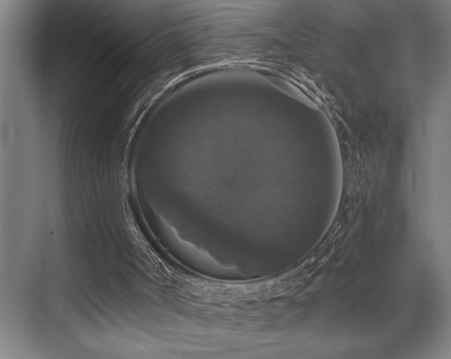 X0000076080002200609221235