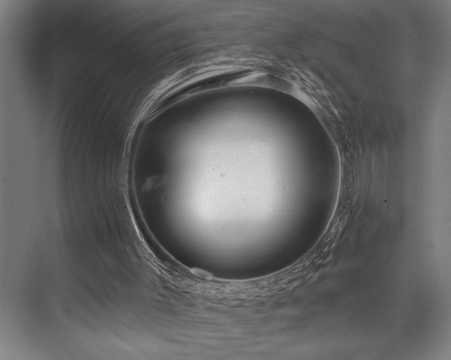 X0000076080003200609221235