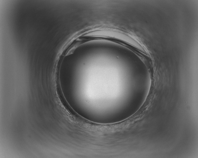 X0000076080007200609221235