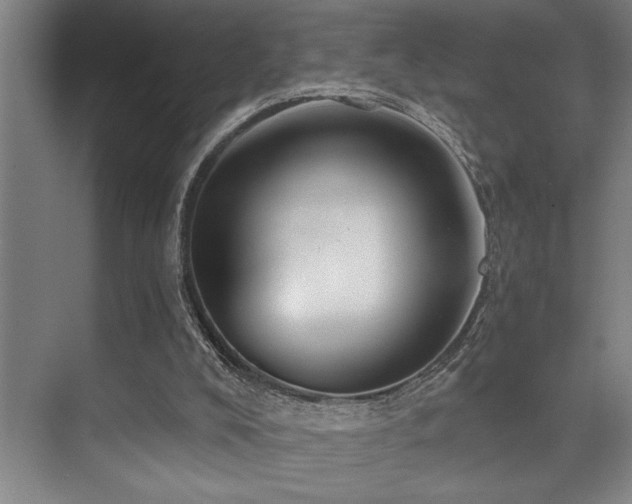 X0000076080008200609221235