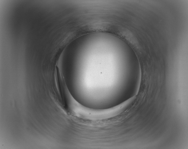 X0000076080021200609221234