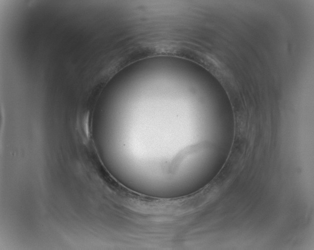 X0000076080028200609221234