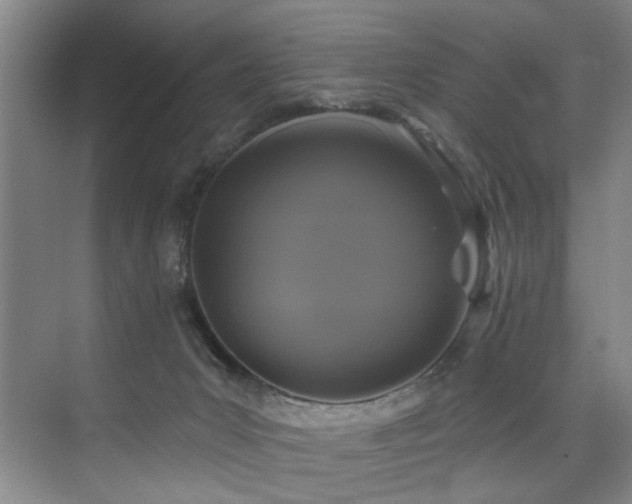 X0000076080031200609221234