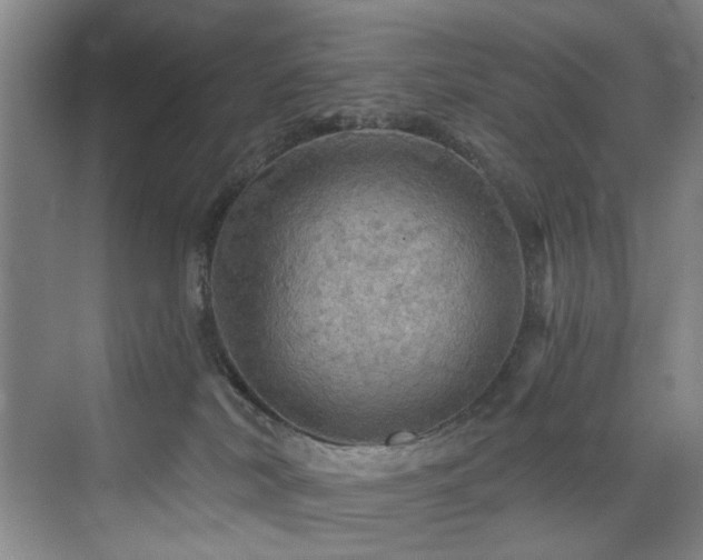 X0000076080038200609221234