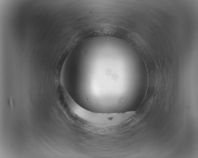 X0000076080040200609221234