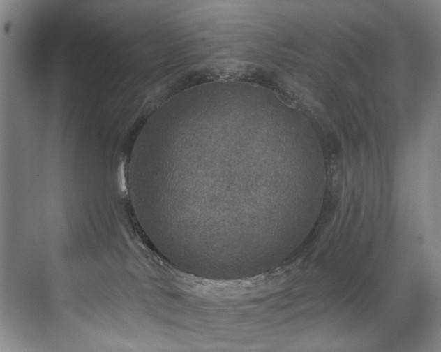 X0000076080042200609221234
