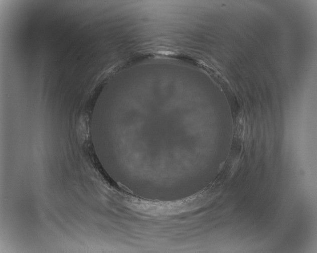 X0000076080043200609221234