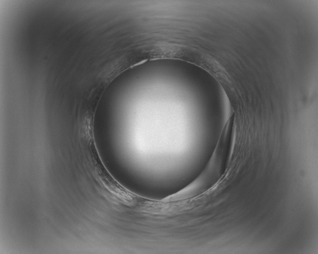 X0000076080045200609221234