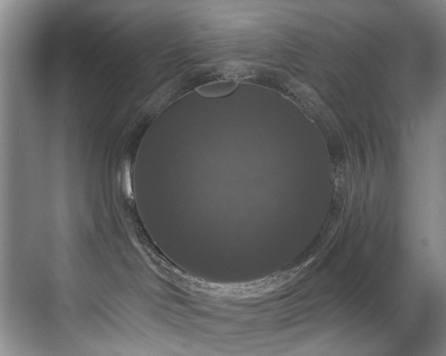 X0000076080046200609221234