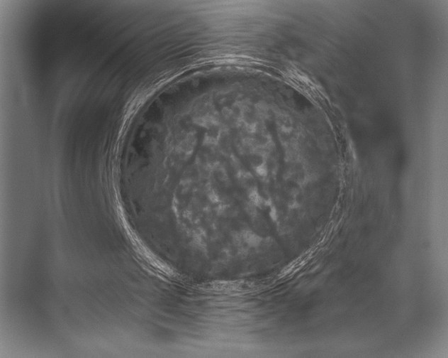 X0000076080049200609221233