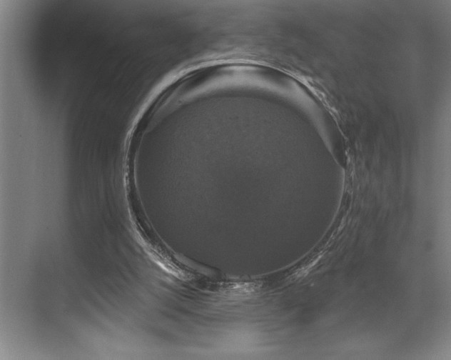 X0000076080056200609221233