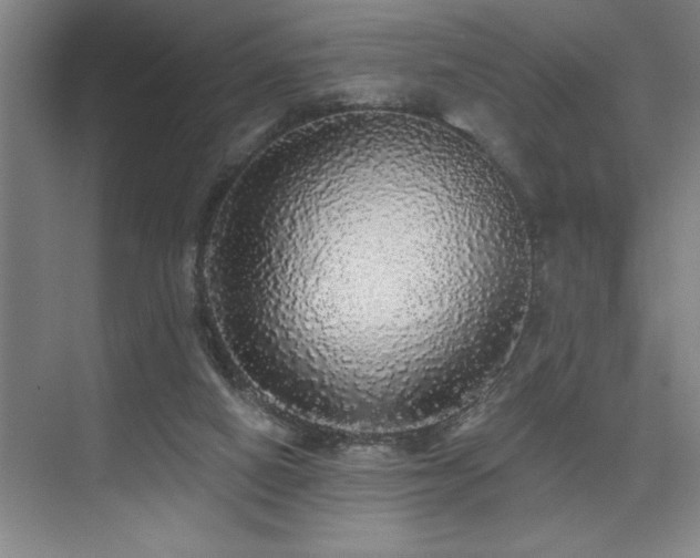 X0000076080066200609221233