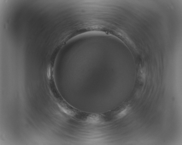 X0000076080076200609221234