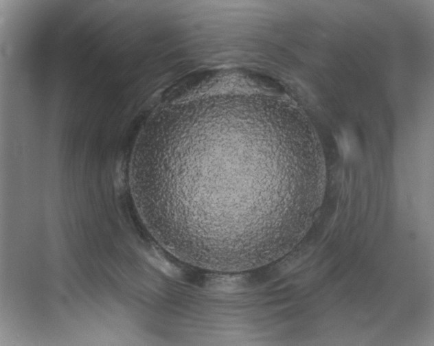 X0000076080081200609221234