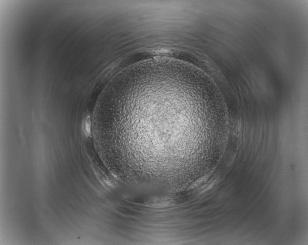 X0000076080095200609221234