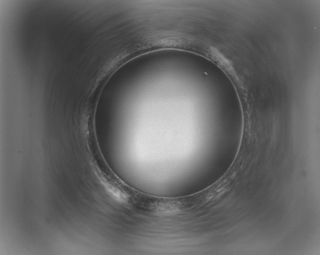 X0000076080106200609221233