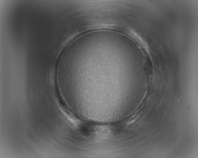 X0000076080107200609221233