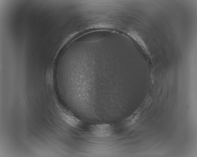 X0000076080108200609221233