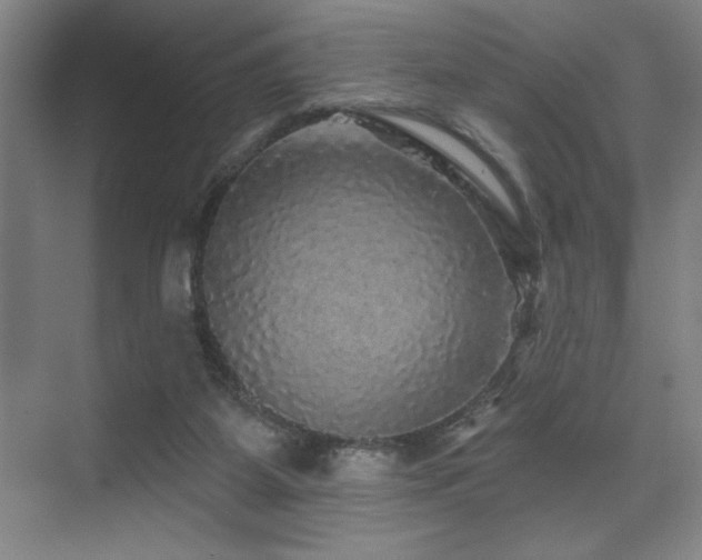 X0000076080115200609221233
