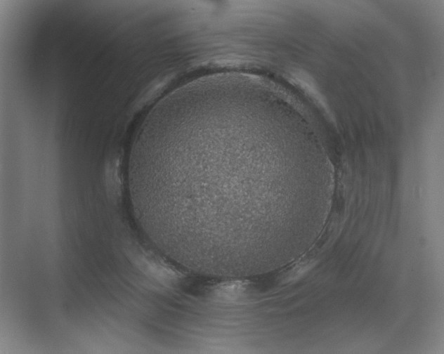X0000076080116200609221233