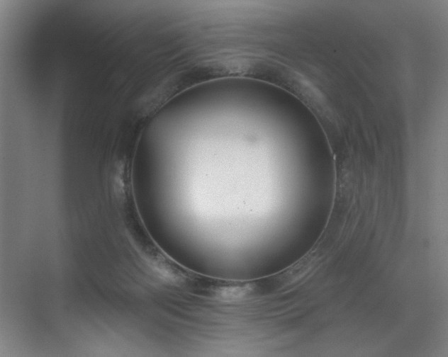 X0000076080122200609221233