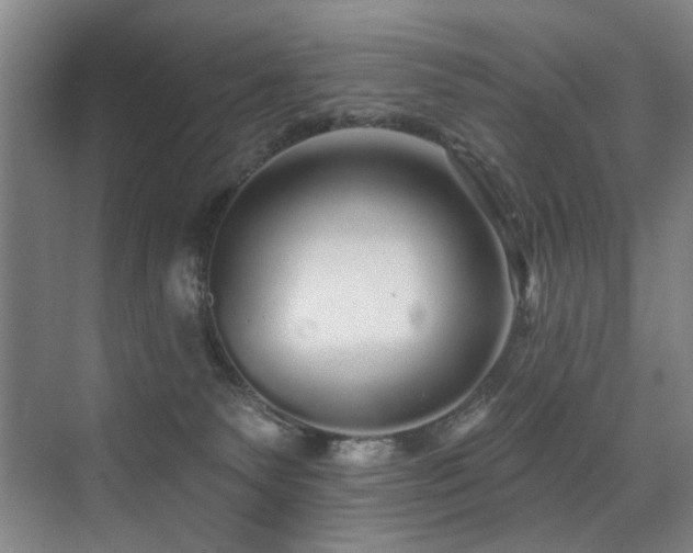 X0000076080135200609221232