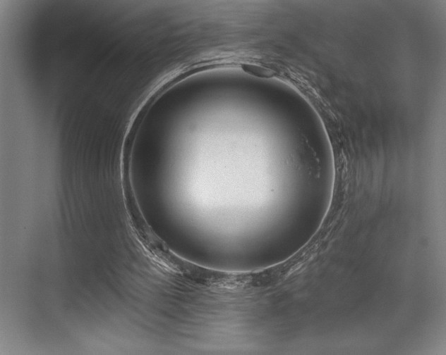 X0000076080148200609221231