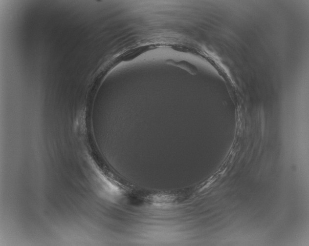X0000076080154200609221232