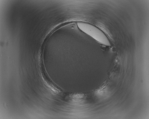 X0000076080156200609221232