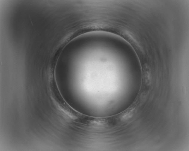 X0000076080164200609221232