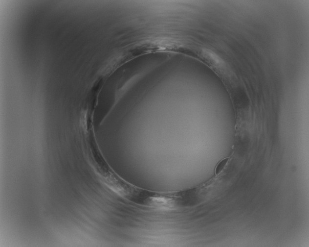 X0000076080167200609221232